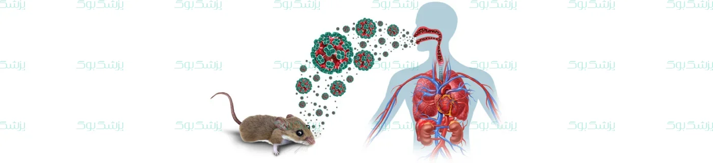 هانتاویروس