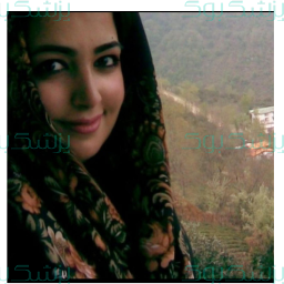 نرگس السادات مرتضوی