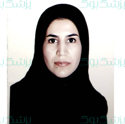 مینا خان حسینی